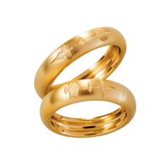 Ringdescription:Alternative-Text